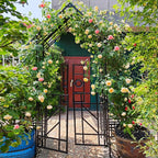 Garden Arch with Gate W58 x 97" H Metal Arch Trellis Outdoor for Climbing Plants Support Vines Rose, Wedding Archway Decoration, Black (Gate)