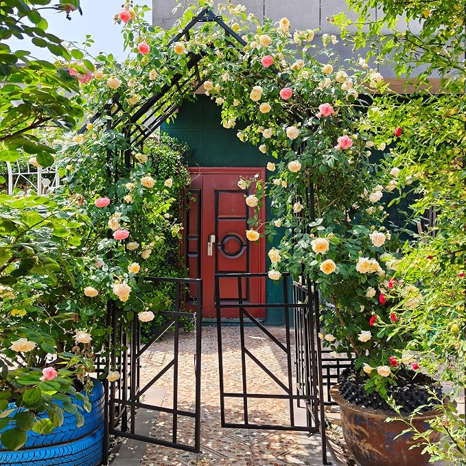 Garden Arch with Gate W58 x 97" H Metal Arch Trellis Outdoor for Climbing Plants Support Vines Rose, Wedding Archway Decoration, Black (Gate)